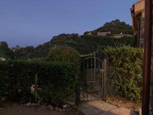 a gate in a hedge with a mountain in the background at Villa Michela in Costa Rei +29 photos