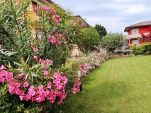 a row of flowers in a yard with a house at Al Casale B&B in Casalserugo +33 photos