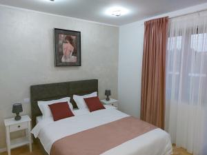 Un dormitorio con una cama grande y una ventana en Water Lily Apartment Studio 2 free parking- self check-in, en Oradea