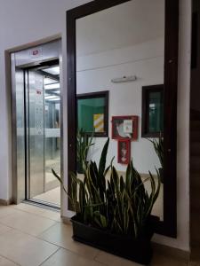 an office door with a plant in front of it at Marfil in Posadas