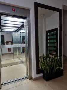 a mirror in front of a door with a plant at Marfil in Posadas