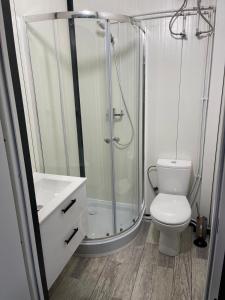 a white bathroom with a shower and a toilet at Domki Kalimera 3 in Jantar