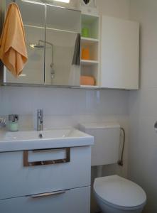 a bathroom with a toilet and a sink and a mirror at Holiday house EMC in Umag