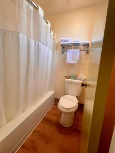 a bathroom with a toilet and a shower curtain at Regency Inn Lakeport in Lakeport