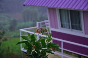 Zahrada ubytování บ้านสายรุ้ง เขาค้อ