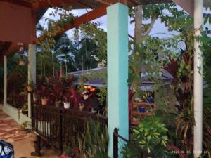 Κήπος έξω από το Casa el Jardin