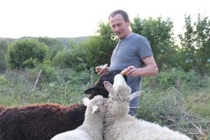 Człowiek stojący z trzema owcami na polu w obiekcie Zielone Wzgórze w mieście Małastów