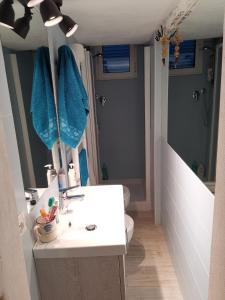 een badkamer met een wastafel, een toilet en een spiegel bij la baracca dei pescatori in Follonica