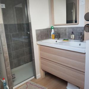 Kúpeľňa v ubytovaní Appartement entre lac et montagnes + 17 fotografií