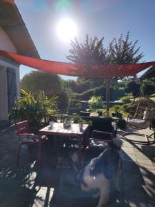 un gato de pie junto a una mesa en un patio en Chambre d'hôtes kaxu, en Bassussarry