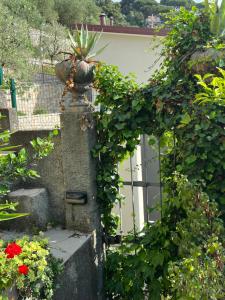 A garden outside Il Nido a Portovenere