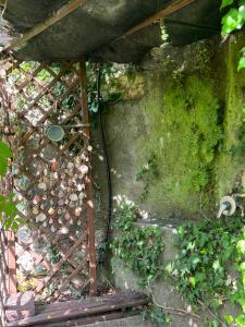A garden outside Il Nido a Portovenere