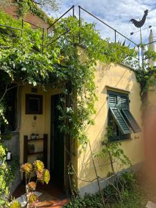 A garden outside Il Nido a Portovenere
