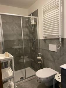 Appartamento trilocale luxory,sulle piste da sci في بورميو: حمام مع دش ومرحاض