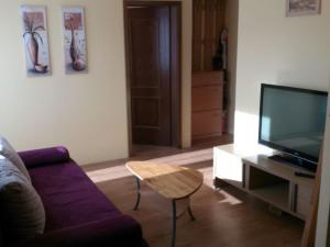 un soggiorno con divano viola e TV di Apartmaji Sparakel a Bled