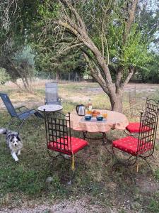 une table, des chaises et un chien sous un arbre dans l'établissement Gîtes Violettes et Amandier, à Violès