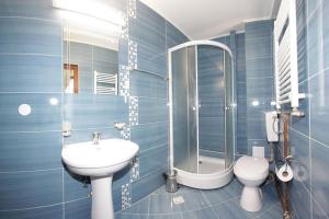 Ένα μπάνιο στο Casa dintre Vii +43 φωτογραφίες