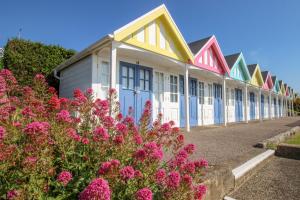 een rij kleurrijke huizen met roze bloemen bij Captain's Retreat in Weymouth