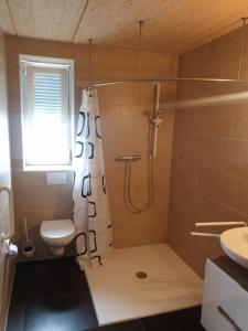 a bathroom with a shower and a toilet and a sink at Gästehaus Stüpfert Grüber Stein in Grub am Forst