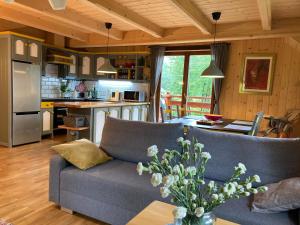 Η κουζίνα ή μικρή κουζίνα στο MOUNTAIN DREAM