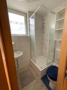 ein Bad mit einer Dusche, einem WC und einem Waschbecken in der Unterkunft Ferienwohnung am Kalkweg in Bad Sooden-Allendorf