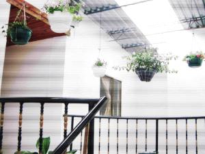 a staircase with potted plants hanging from a wall at Hotel Arpa de Aguas in Villavicencio