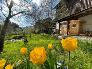 Zahrada ubytování Miramont Horse Trekking Hostel