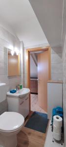 a bathroom with a toilet and a sink at Apartment R&M Pula in Pula +31 photos