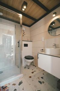 a bathroom with a toilet and a sink at Fejny Dom - Jezioro Dadaj in Kromerowo