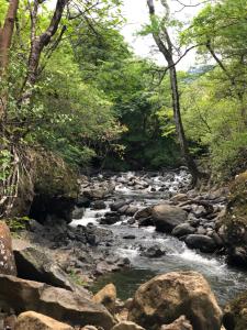 a creek in the woods with rocks and trees at Casa Luna Glamping in Sorá