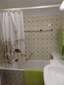 ein Bad mit einem Duschvorhang und einem WC in der Unterkunft Sollevante Ascona in Ascona