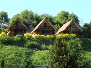a group of cottages on a hill with trees at Gospodarstwo Agroturystyczne na Górce in Myczkowce