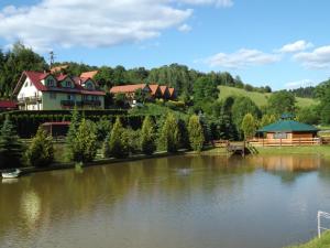 a house on a hill next to a lake at Gospodarstwo Agroturystyczne na Górce in Myczkowce