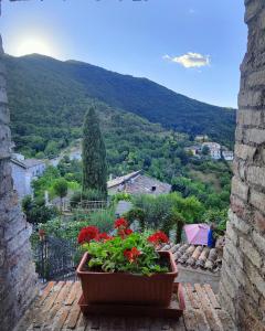 un vaso di fiori seduto su un balcone con una montagna di B&B Bivacco Frasassi climbing & trail running house a Genga