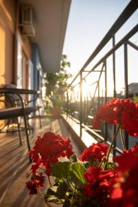 een vaas gevuld met rode bloemen op een balkon bij Tsertos Apartments in Kamena Vourla