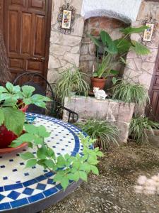 Patio Granada في غرناطة: حديقة فيها طاولة ونباتات امام باب