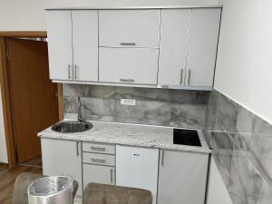 Kuchyň nebo kuchyňský kout v ubytování Apartmani Bogdana + 28 fotografií