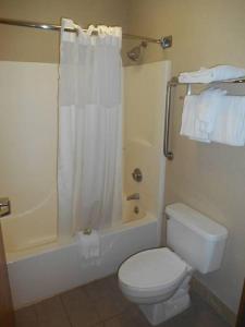 a bathroom with a white toilet and a shower at AmeriStay Inn St Joseph in Saint Joseph