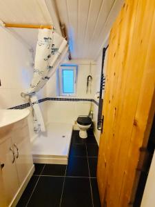 a small bathroom with a toilet and a sink at The Annexe at Tenniside • Private Garden • Hot Tub in Perranporth