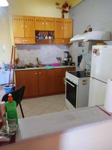 eine Küche mit Holzschränken und einem weißen Kühlschrank in der Unterkunft Afrodite Lefkimmi Apartment 1 in Lefkímmi + 13 Fotos
