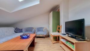 ein Wohnzimmer mit einem Flachbild-TV und einem Sofa in der Unterkunft Davor in Novigrad Istria
