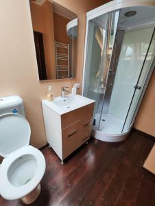 ホレズにあるCasa Irinaのトイレ、シャワー、洗面台を備えたバスルーム