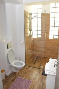 uma casa de banho com um WC e uma cabina de duche em vidro. em Vila Siena em Sulina