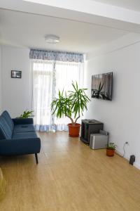 a living room with a blue couch and a tv at Vila Siena in Sulina