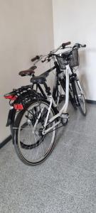 Jízda na kole v ubytování Ukiel Park Green Apartament nebo okolí