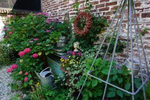 a garden with a bunch of flowers and a ladder at De bezige bij in Kerkrade