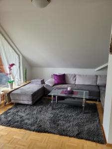 a living room with a couch and a glass table at Ferienwohnung Holzberger in Goslar