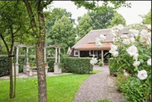 een huis met een tuin met witte rozen bij Rheezerstee in Rheeze