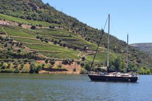 Afbeelding uit fotogalerij van Cantinho dos Montes in Vila Real