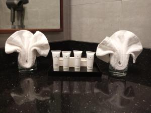塞拉莱Tulip Inn Majan Hotel and Suites Salalah的相册照片